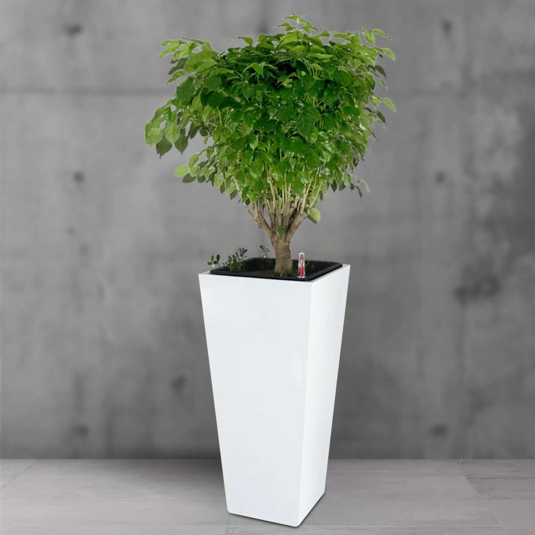 product-4