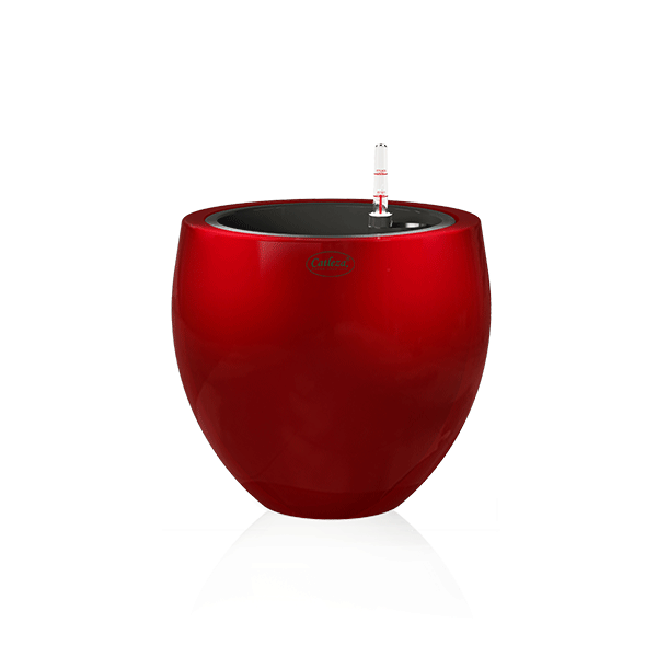 product-6