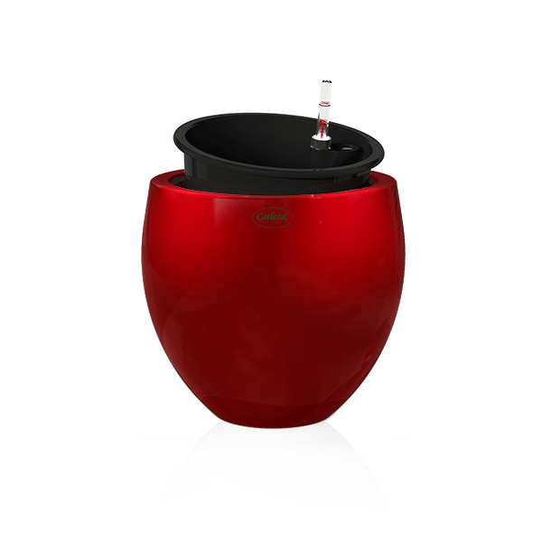 product-6